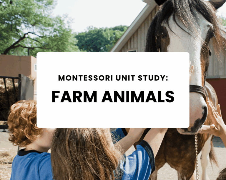 Unit Study: Farm Animals
